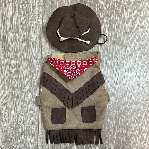 Reptile Bearded Dragon Bundle of 7 Outfits Clothes Costumes - Picture 12 of 14